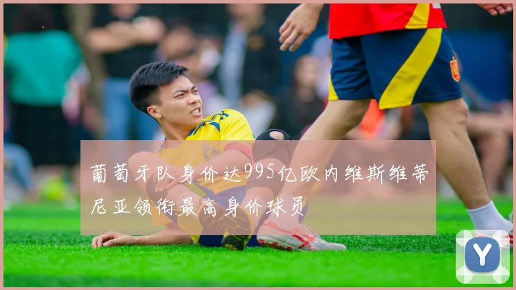 葡萄牙队身价达995亿欧内维斯维蒂尼亚领衔最高身价球员